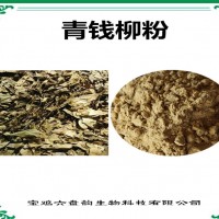 青钱柳浓缩粉 青钱柳粉 生产厂家
