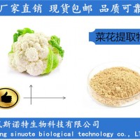 菜花提取物10:1 浓缩菜花粉 花椰菜提取物厂家