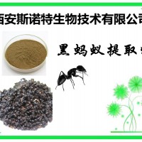 黑蚂蚁提取物 黑蚂蚁粉 原料提取 包邮