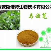 马齿苋提取物 马齿苋粉 斯诺特生物