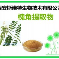 槐角提取物 槐角粉 提取物 斯诺特生物
