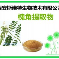 槐角提取物 槐角粉 提取物 斯诺特生物