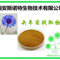 矢车菊提取物  矢车菊 比例提取 包邮