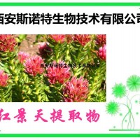 红景天提取物 20:1 提取物 斯诺特包邮