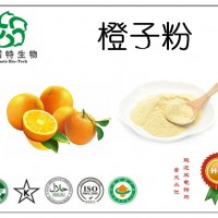 橙子粉 速溶橙子粉 斯诺特现货