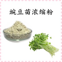 豌豆苗浓缩汁粉 淡绿色全水溶精细粉末 支持定制生产