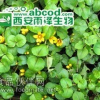 大连钱草提取物生产厂家