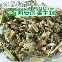 益母草提取物生产厂家