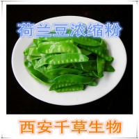 荷兰豆浓缩粉荷兰豆提取物供应植物提取物 流浸膏颗粒