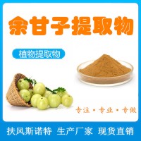 余甘子提取物 浓缩萃取余甘子粉 老牌植提工厂