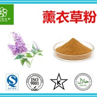 薰衣草粉 薰衣草提取物 多种规格  批发价