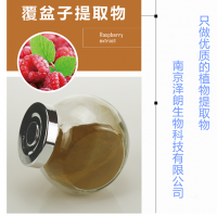 覆盆子浓缩粉，泽朗专业供应覆盆子粉