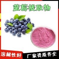 蓝莓粉 固体饮料 蓝莓果汁粉 压片糖果