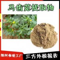 马齿苋提取物 固体饮料 马齿苋粉 压片糖果