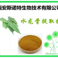 青世莲提取物 比例提取 斯诺特生产厂家