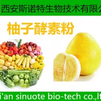柚子酵素粉 酵素粉 原料萃取粉 供应中