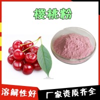 樱桃粉 固体饮料 樱桃浓缩汁粉 压片糖果 口感好