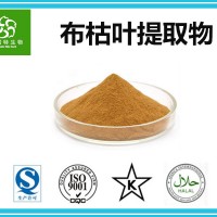 布枯叶提取物10:1水溶性布枯叶粉 比例提取物生产厂家