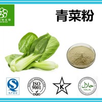 青菜粉 水溶青菜粉 青菜提取物 固体饮料 食品级原料