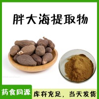 胖大海提取物 外检报告 企标备案