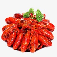 武汉小龙虾底料批发厂家-麻辣、油焖、香辣、蒜蓉、十三香等