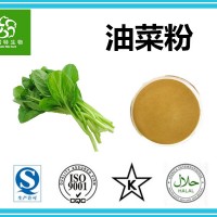 正宗油菜粉 油白菜粉 苦菜粉 生粉原粉纯粉 生产厂家批发