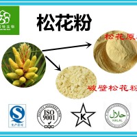 马尾松松花粉 98%含量 破壁松花粉 厂家供应