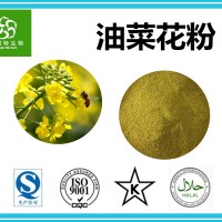 油菜花粉 蜂花粉 破壁油菜花粉 新资源食品原料 供应