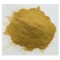 岩藻黄质 天然提取物岩藻黄质 岩藻黄质价格/厂家