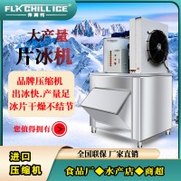 自动商用超市海鲜水产片冰制冰机设备