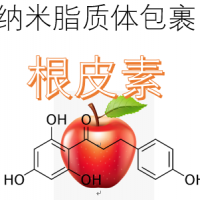 纳米脂质体包裹根皮素