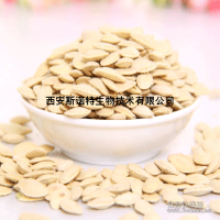 南瓜籽粉 南瓜籽速溶粉 斯诺特厂家