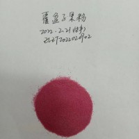 覆盆子速溶粉，覆盆子果汁粉，速溶覆盆子汁粉
