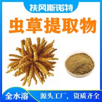 虫草提取物 库存量大  虫草多糖  当天发货