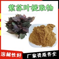紫苏叶提取物 库存充足