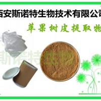 苹果树皮提取物 含根皮甙 根皮素 包邮发货