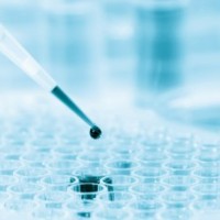 微生物快速检测服务 梅里埃营养科学 诺安实力可