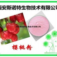 樱桃速溶粉 水溶性果粉 包邮