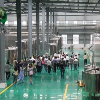 β烟酰胺单核苷酸98%