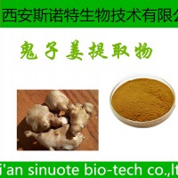 现货供应 洋姜提取物 鬼子姜提取物 菊芋提取物 包邮