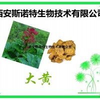 大黄素 80%大黄提取物 斯诺特厂家现货