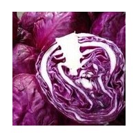 紫甘蓝浓缩粉, 紫甘蓝浓缩粉QS证厂家