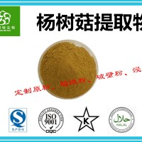 杨树菇提取物 杨树菇多糖30% 杨树菇提取物厂家 批发价