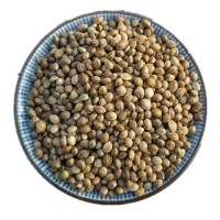 火麻仁粉食品资质齐全厂家供应