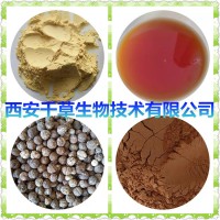 杨树花提取物杨树花浓缩粉杨树花浸膏粉