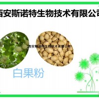 白果粉 银杏果粉 斯诺特生物 包邮