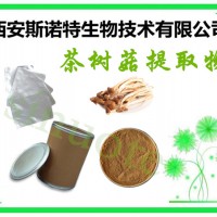 茶树菇浸膏粉 茶树菇粉 真菌多糖 规格多种