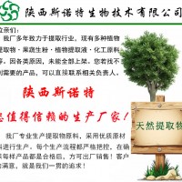 规格10：1 山银花提取物  原料提取 厂家现货