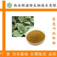 紫苏叶提取物 规格10:1 紫苏油 生产厂家