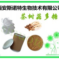 茶树菇多糖 30% 茶树菇提取物 另有复合真菌多糖